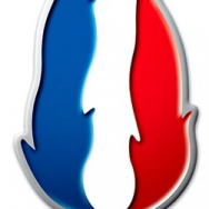front-national-flamme-logo-fn
