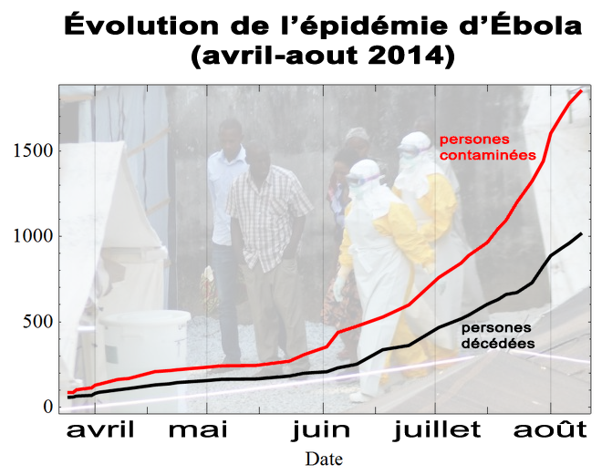 évolution-ebola-avril-aout-2014-1