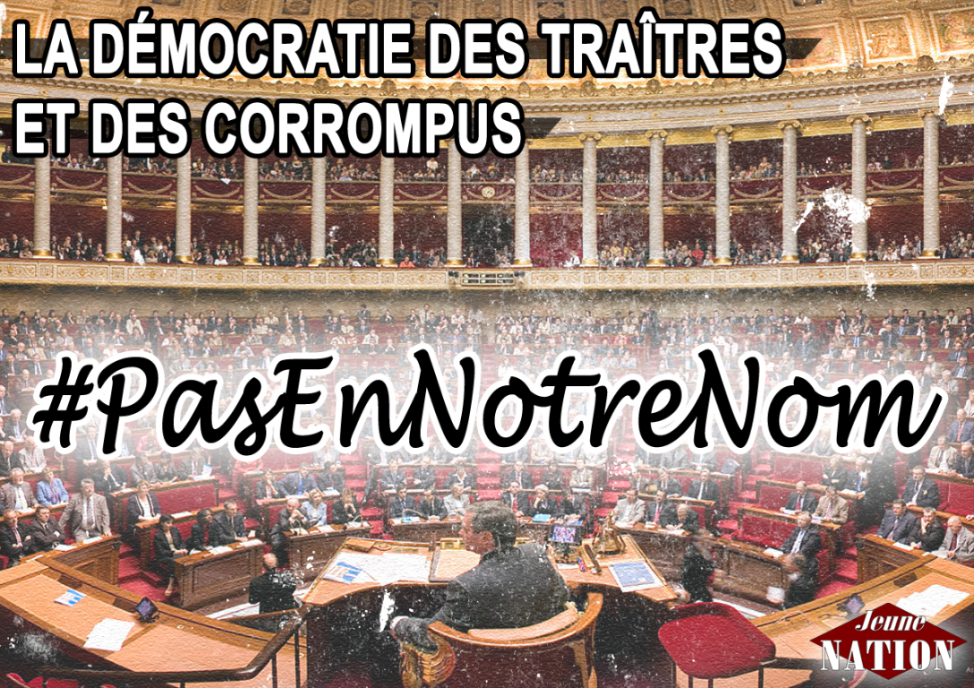 notinourname-democratie-traitres-corrompus-2