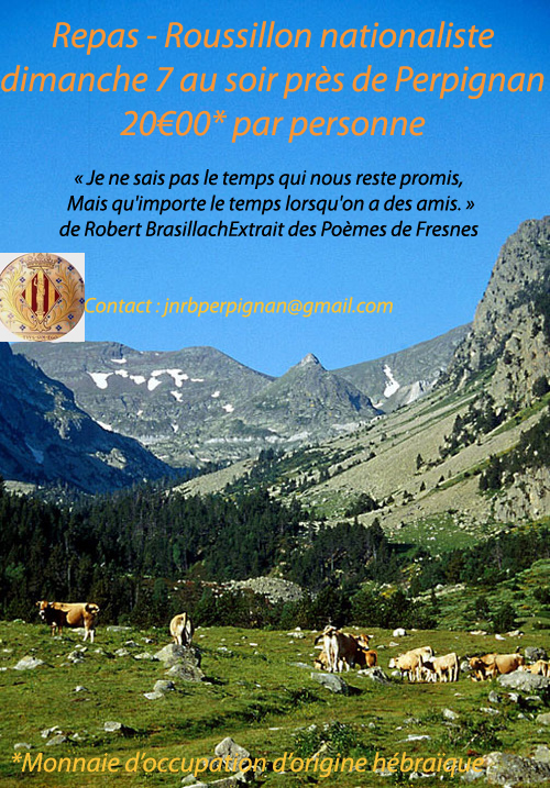 J-Bussiere_pyrenees-cat