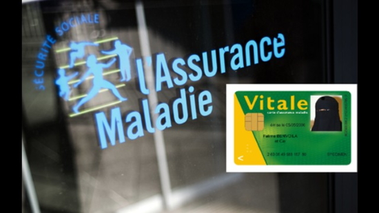 Commission d’enquête relative à la lutte contre les fraudes aux prestations sociales (vidéo)